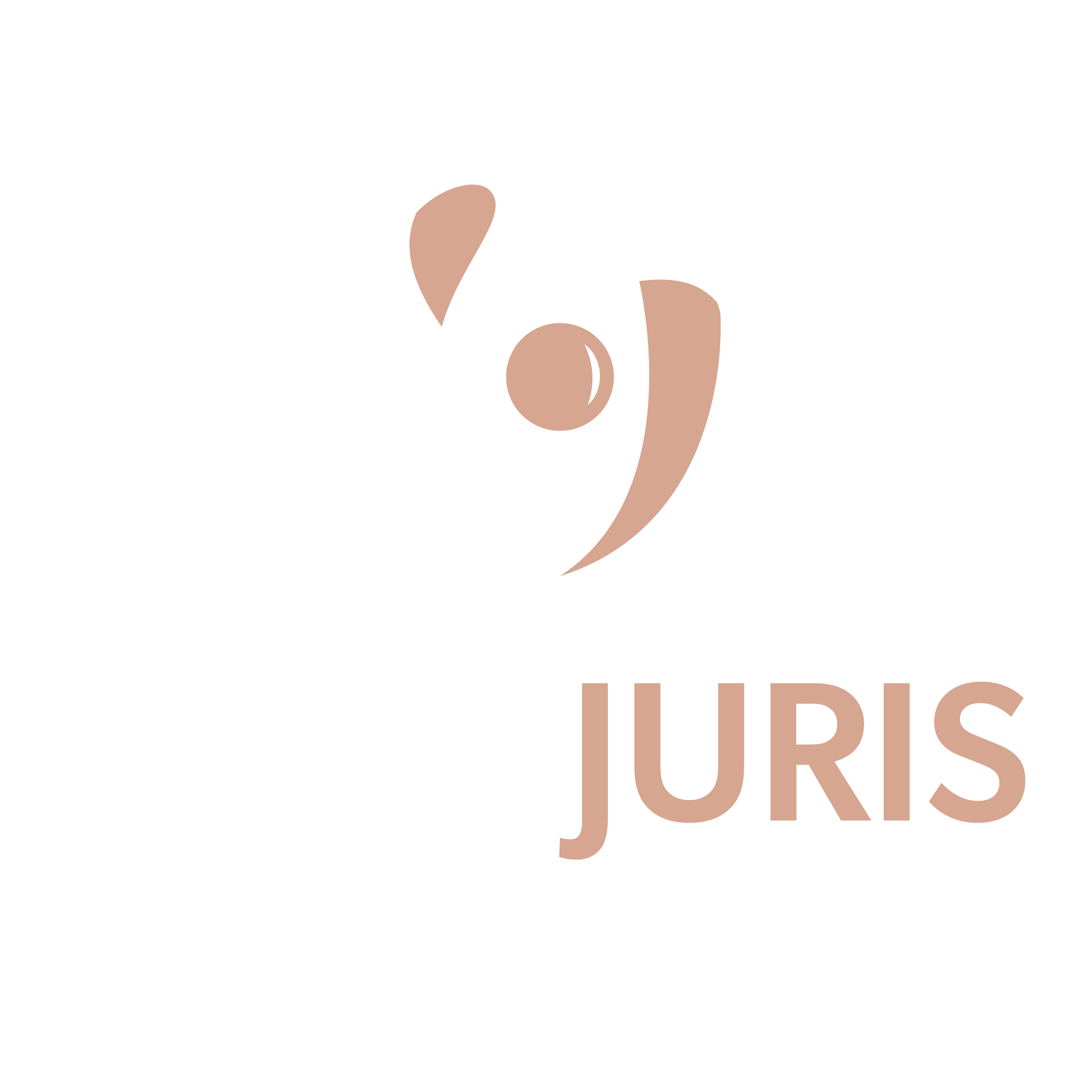 SELARL CERTIJURIS Commissaires de Justice / Huissiers dans du Nord